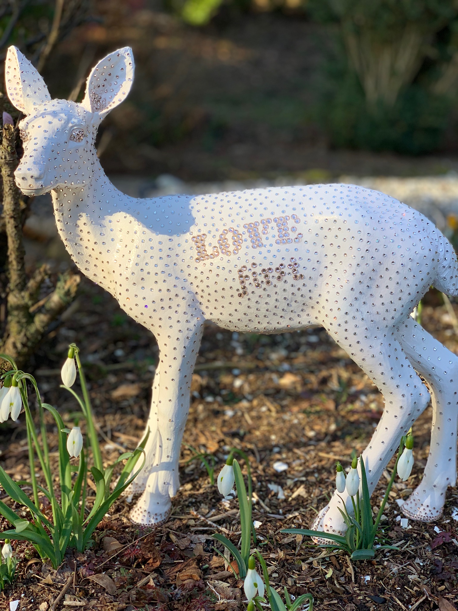 Bambi Love first – Bild 2