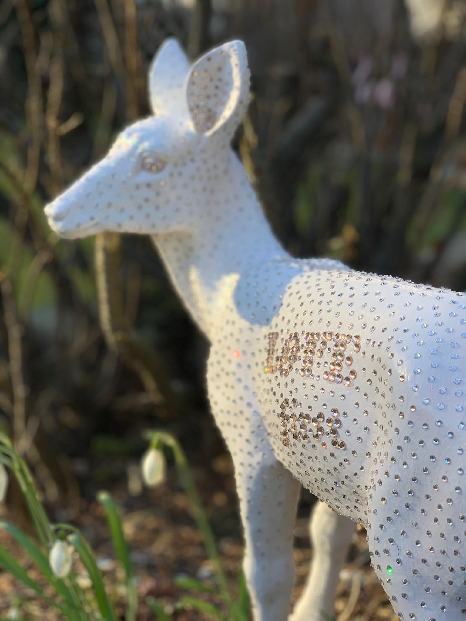 Bambi Love first