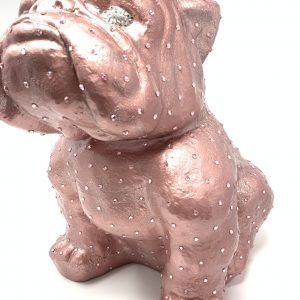 Bulldogge „The World is my Stage“