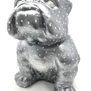 Bulldogge „Superdog“
