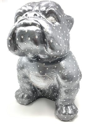 Bulldogge „Superdog“