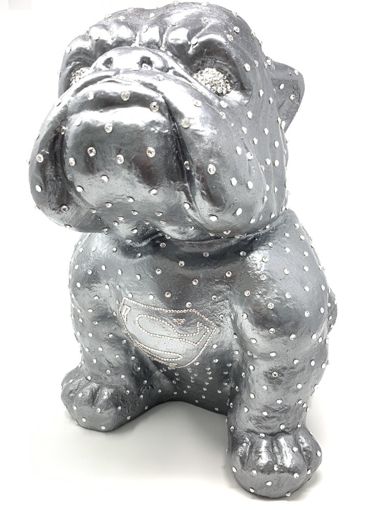 Bulldogge „Superdog“