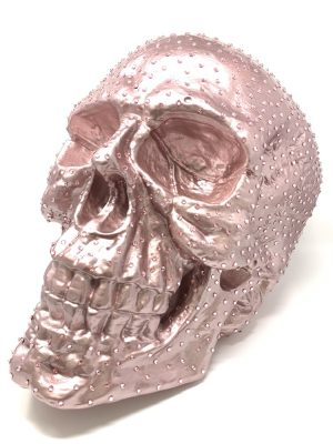 Skull Rosa – Bild 3