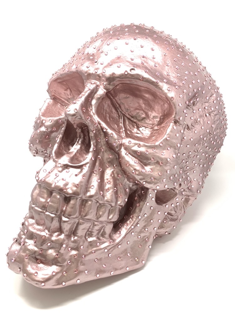 Skull Rosa – Bild 3